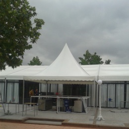 Venta de Carpas - p189lf2earag11gil1bp08tmdhq7.jpg