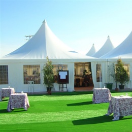 Carpas para Celebraciones - p189lgd7841v0d1v5q14dbskt11ql8.jpg