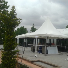 Carpas Jaimas - p189lhespg52e103be2j1tlqslma.jpg