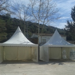 Carpas Jaimas - p189lhespg9l8rkr1coc15vh30t9.jpg