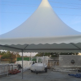 Carpas Jaimas - p189lhesph17od1pcmdcr9s61vofc.jpg