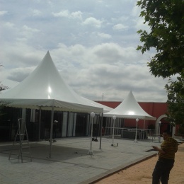 Carpas Jaimas - p189lhesphru11tnc1kcm80910mgb.jpg