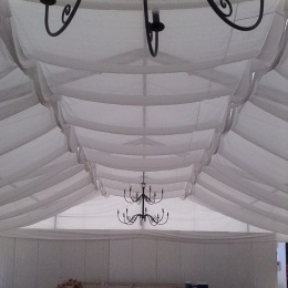 Venta de Carpas - p1b7prrss61d2h8refl9ihupt64.jpg