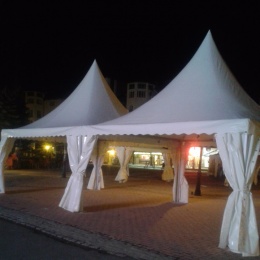 Venta de Carpas - p1b7prrss61u79pa81jg7uctd8c6.jpg