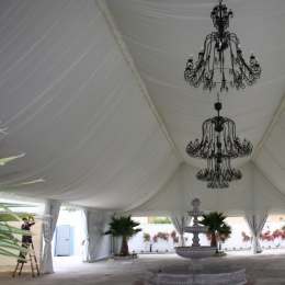 Venta de Carpas - p1b7prrss65r8sle1d8bi0sg0v8.JPG