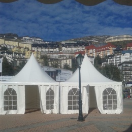 Venta de Carpas - p1b7prrss6m2h1ekh8mf1jpd185g5.jpg