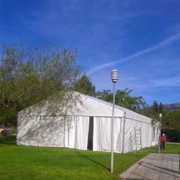 Carpas a Medida - p1b81o2co67u48v0a1hdmh1vkl5.jpg