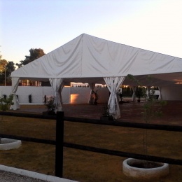 Carpas a Medida - p1b81o2co7fj6d9a4iv1ir81m3n7.jpg