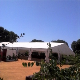 Carpas para Bodas - p1b81ouh4216dri6clpbgpg3gv.jpg