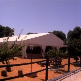 Carpas para Bodas - p1b81ouh42olbsjl1n8118q91jho10.jpg