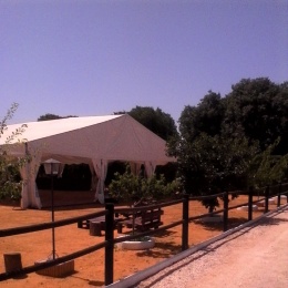 Carpas para Celebraciones - p1b81pln4h1m5k151sk5tms1a3vb.jpg