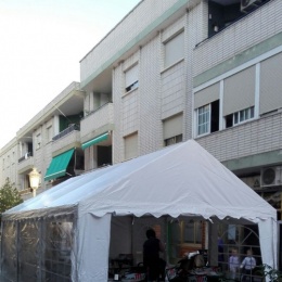 Carpas Plegables - p1csevq9196huka6p3c3gv1vi66.JPG